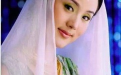 护花危情第二部